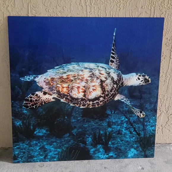 Aluminum Sea Turtle Ocean Wall Art 30x30